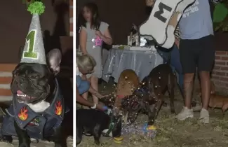 cumple-perrito