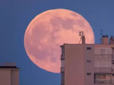 superluna-rosa-de-abril___SJf4a_srG_1256x620__1