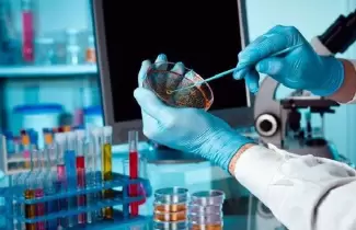 analisis-coronavirus