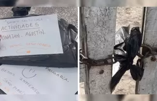 maestra-