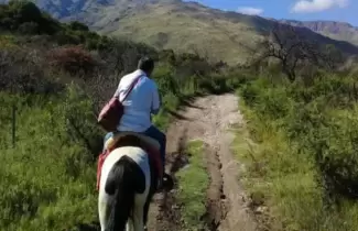 enfermero-