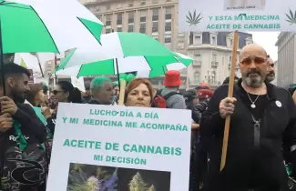 cannabis-marcha