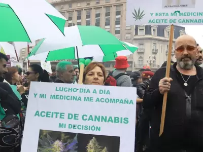 cannabis-marcha