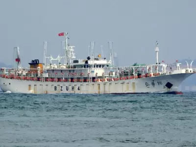 pesca-ilegal-