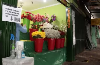paseo-de-flores