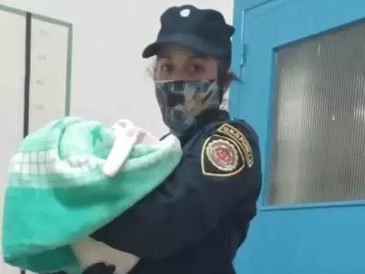 beba-recuperada