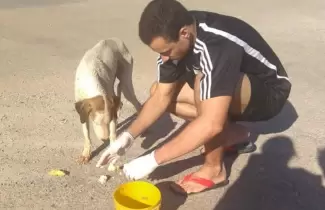 perro-veterinario-1