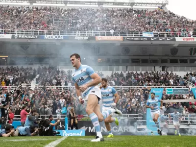 Pumas