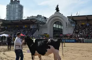 sociedad-rural