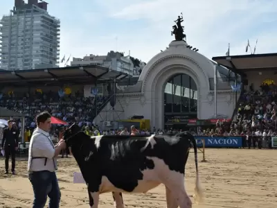 sociedad-rural
