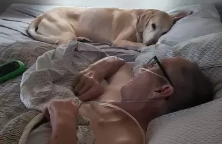perro-murio-dueno