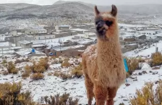 nieve-jujuy