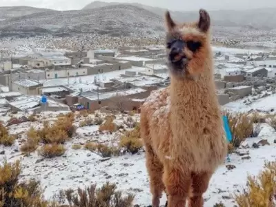 nieve-jujuy