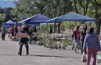 paseo-de-plantas