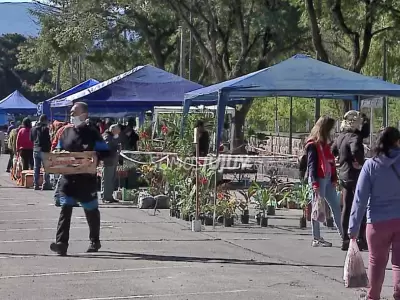 paseo-de-plantas