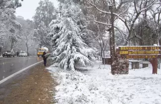 nieve