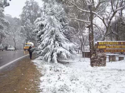 nieve