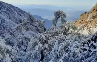 nieve-en-jujuy