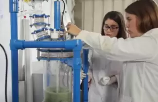 cientificas