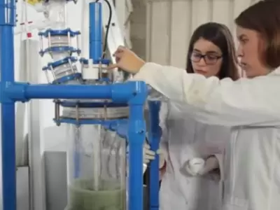 cientificas