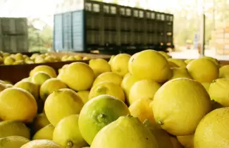 limones