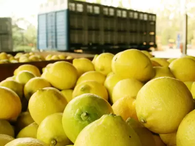 limones