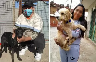 adopciones-