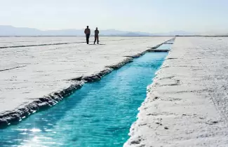 salinas-1-1