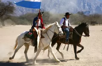 caballo-gaucho
