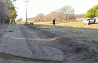 atropello-perro-en-la-pampa