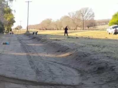 atropello-perro-en-la-pampa