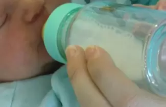 bebe