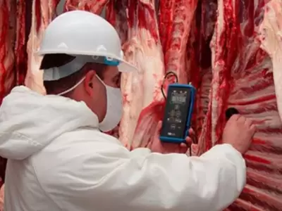 carne-exportacion