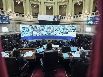 senado