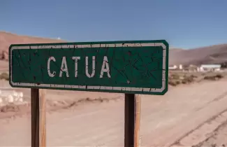 Catua