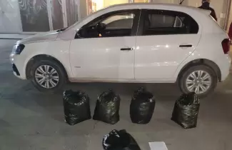 auto-1