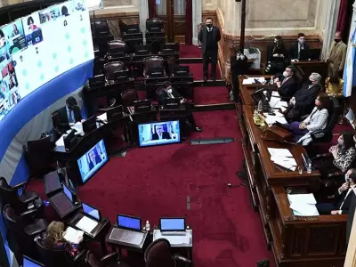 senado-