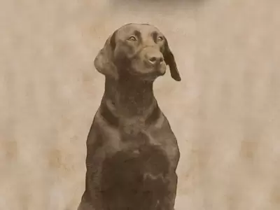 PERRITA-POLICIA