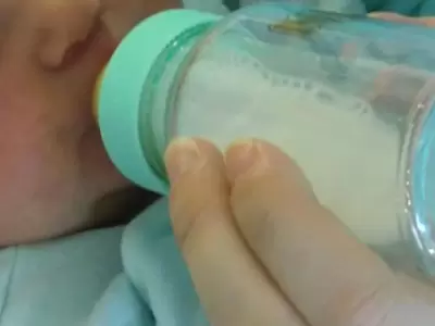 bebe