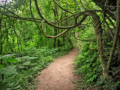 parque-botanico