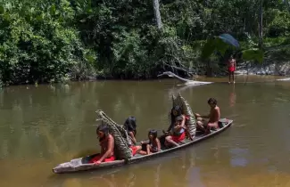 amazonia