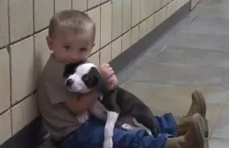 perrito-y-nene