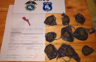 secuestro-1