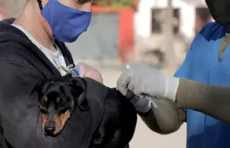 vacunacion-1