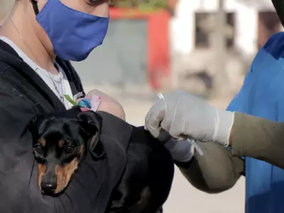vacunacion-1