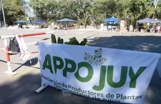 apojuy