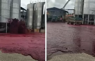 vino-derramado