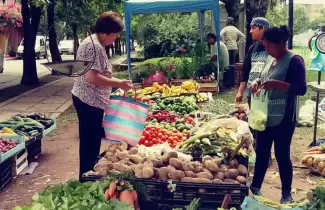 feria-franca-vecinal