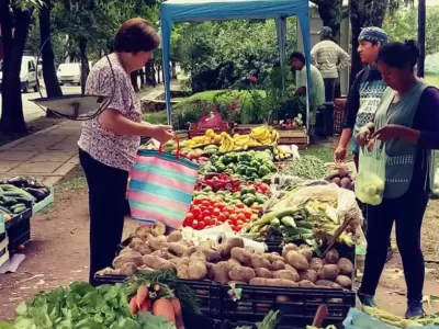 feria-franca-vecinal