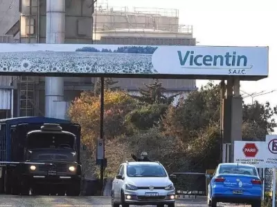 vicentin